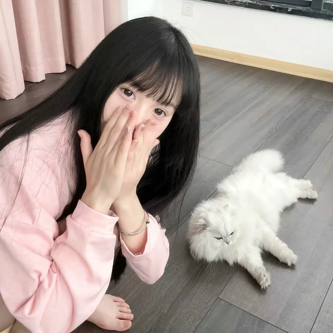 烟花泪